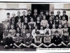 SHG50-0005