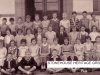SHG50-0013