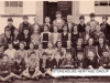 SHG50-0016