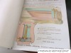 Jackson-elphick-catalogue-2