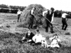 1908 Chapel Farm