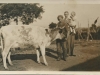 Prize cow dykehaed john Gilfillan and charlie williamson