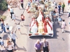 Parade-view-from-railway-bridge-lawrie-st