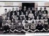 SHG50-0005