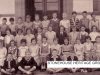 SHG50-0013