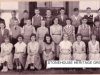 SHG50-0020