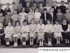 SHG50-0034