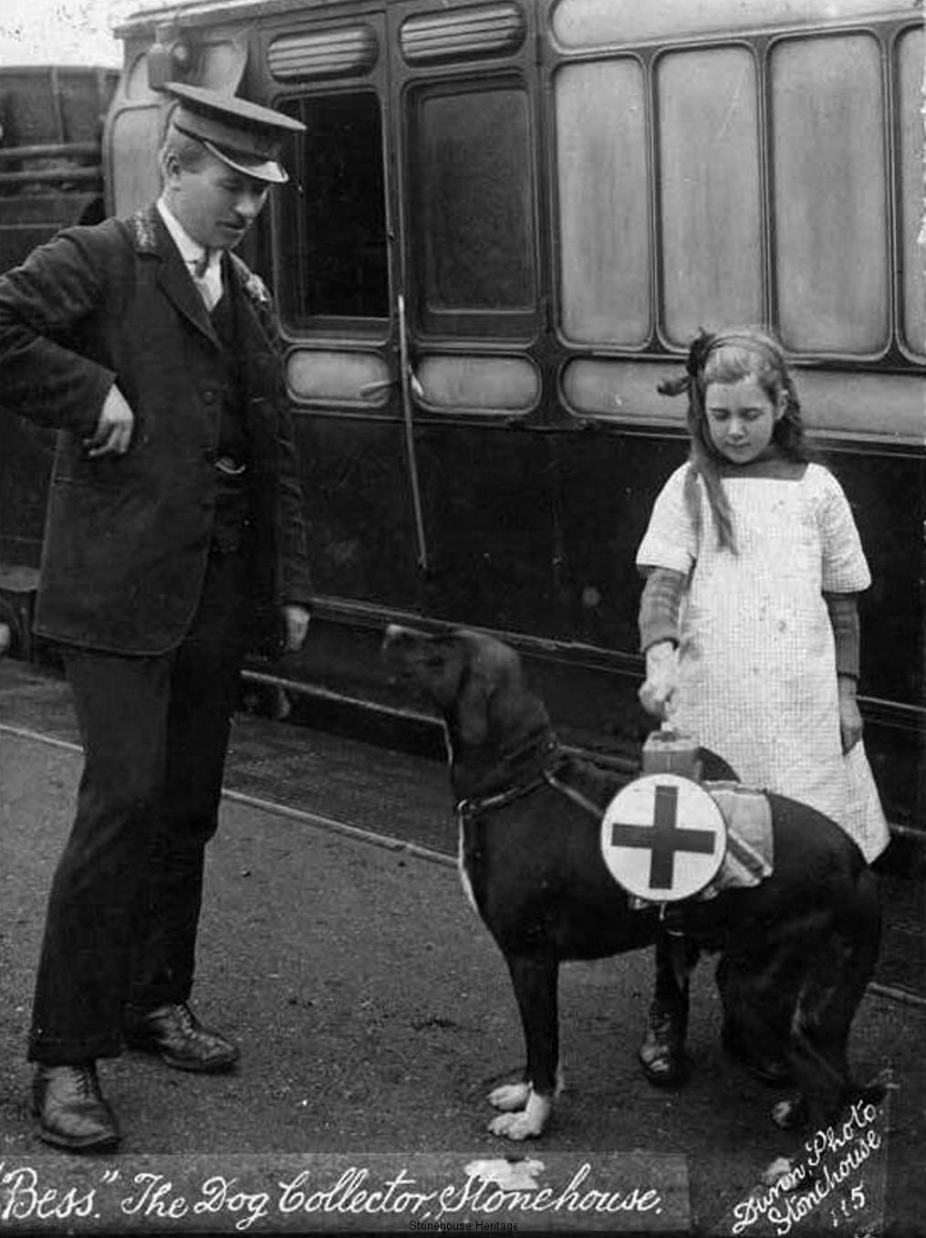 bess-station-dog2